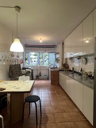 Blk 374 Clementi Avenue 4 (Clementi), HDB 3 Rooms #635077731